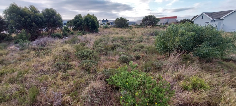  Bedroom Property for Sale in Fountains Estate Eastern Cape
